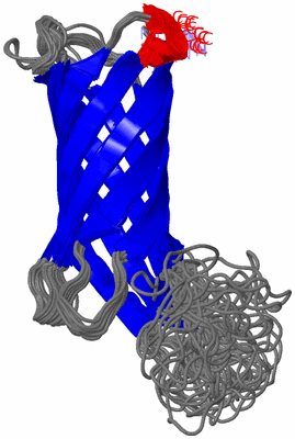 Image NMR Structure - all models