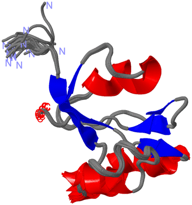 Image NMR Structure - all models