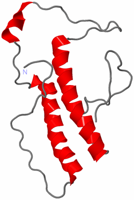 Image NMR Structure - model 1