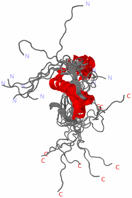 Image NMR Structure - all models