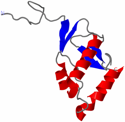 Image NMR Structure - model 1