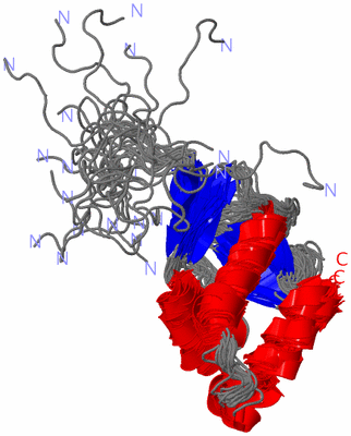 Image NMR Structure - all models