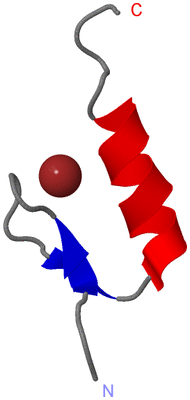 Image NMR Structure - model 1