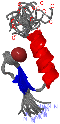 Image NMR Structure - all models