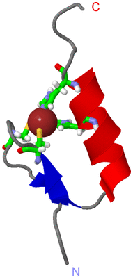 Image NMR Structure - model 1, sites