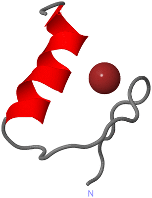 Image NMR Structure - model 1