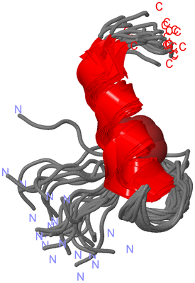 Image NMR Structure - all models