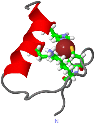 Image NMR Structure - model 1, sites