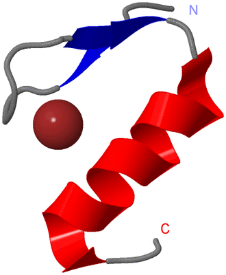 Image NMR Structure - model 1