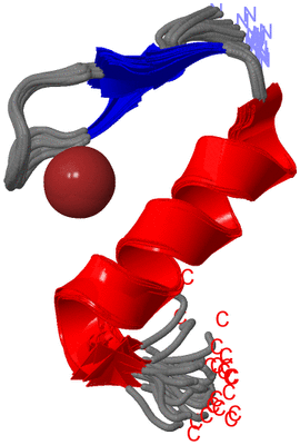 Image NMR Structure - all models