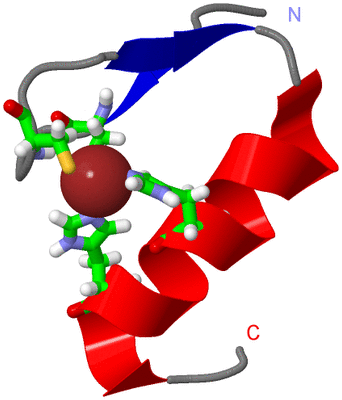 Image NMR Structure - model 1, sites