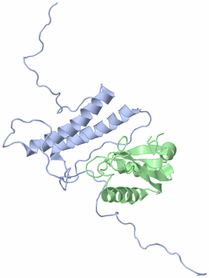 Image NMR Structure - model 1