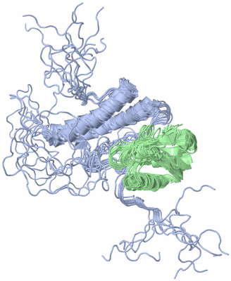 Image NMR Structure - all models