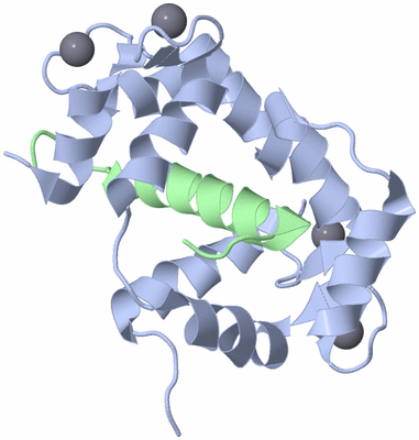 Image NMR Structure - model 1