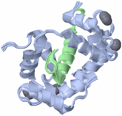 Image NMR Structure - all models