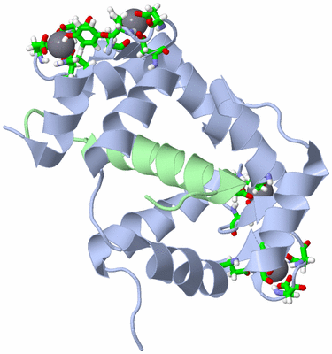 Image NMR Structure - model 1, sites