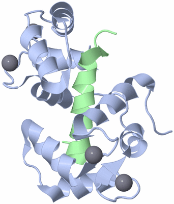 Image NMR Structure - model 1