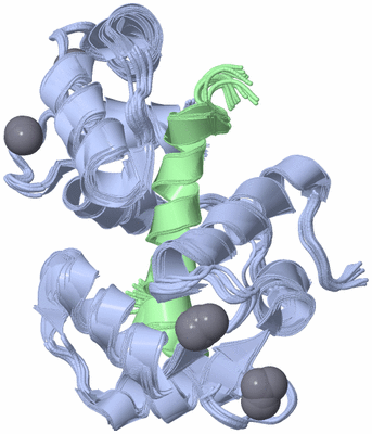 Image NMR Structure - all models