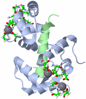 Image NMR Structure - model 1, sites