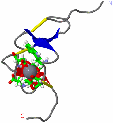 Image NMR Structure - model 1, sites