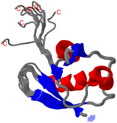 Image NMR Structure - all models