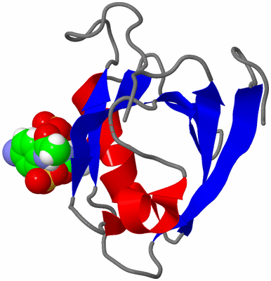 Image NMR Structure - model 1