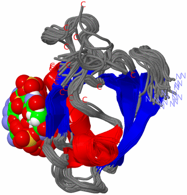 Image NMR Structure - all models