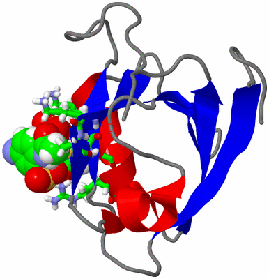 Image NMR Structure - model 1, sites