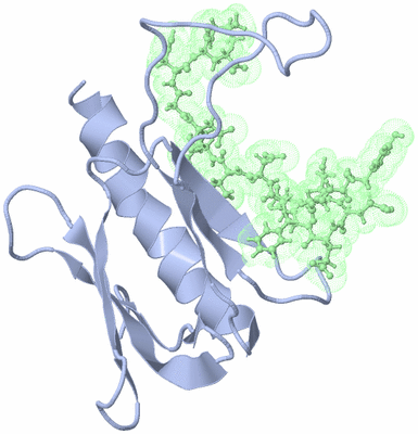 Image NMR Structure - model 1