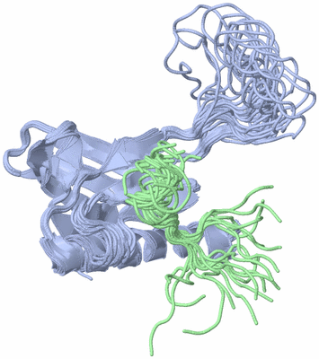 Image NMR Structure - all models