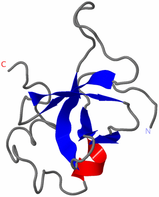 Image NMR Structure - model 1