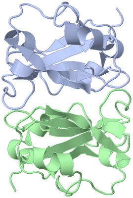 Image NMR Structure - model 1