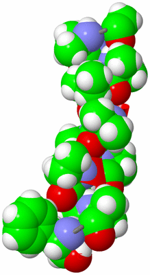 Image NMR Structure - model 1