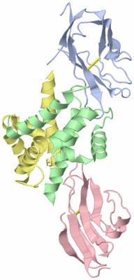 Image NMR Structure - model 1