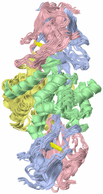 Image NMR Structure - all models