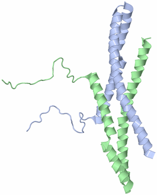 Image NMR Structure - model 1