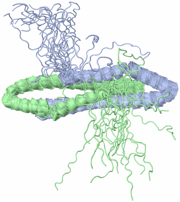 Image NMR Structure - all models