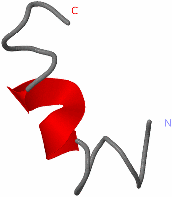 Image NMR Structure - model 1