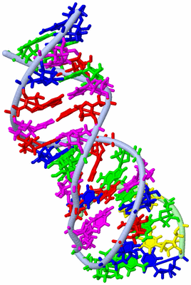 Image NMR Structure - model 1