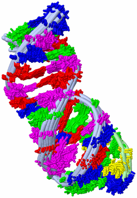 Image NMR Structure - all models