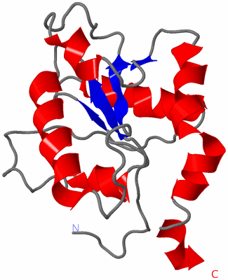 Image NMR Structure - model 1