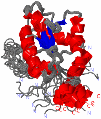 Image NMR Structure - all models