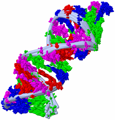 Image NMR Structure - all models