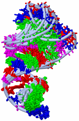 Image NMR Structure - all models