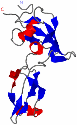 Image NMR Structure - model 1