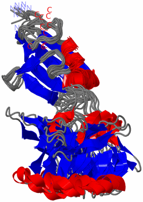 Image NMR Structure - all models