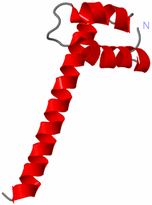 Image NMR Structure - model 1