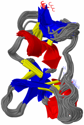 Image NMR Structure - all models