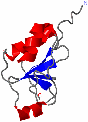 Image NMR Structure - model 1