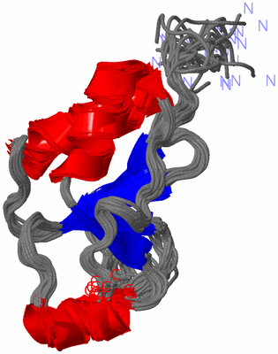 Image NMR Structure - all models